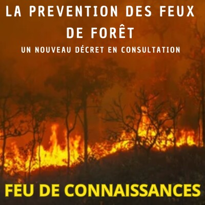 La prévention des feux de forêt...un nouveau décret en consultation cover