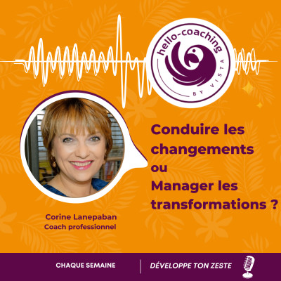 Conduire les changements ou Manager les transformations ? cover