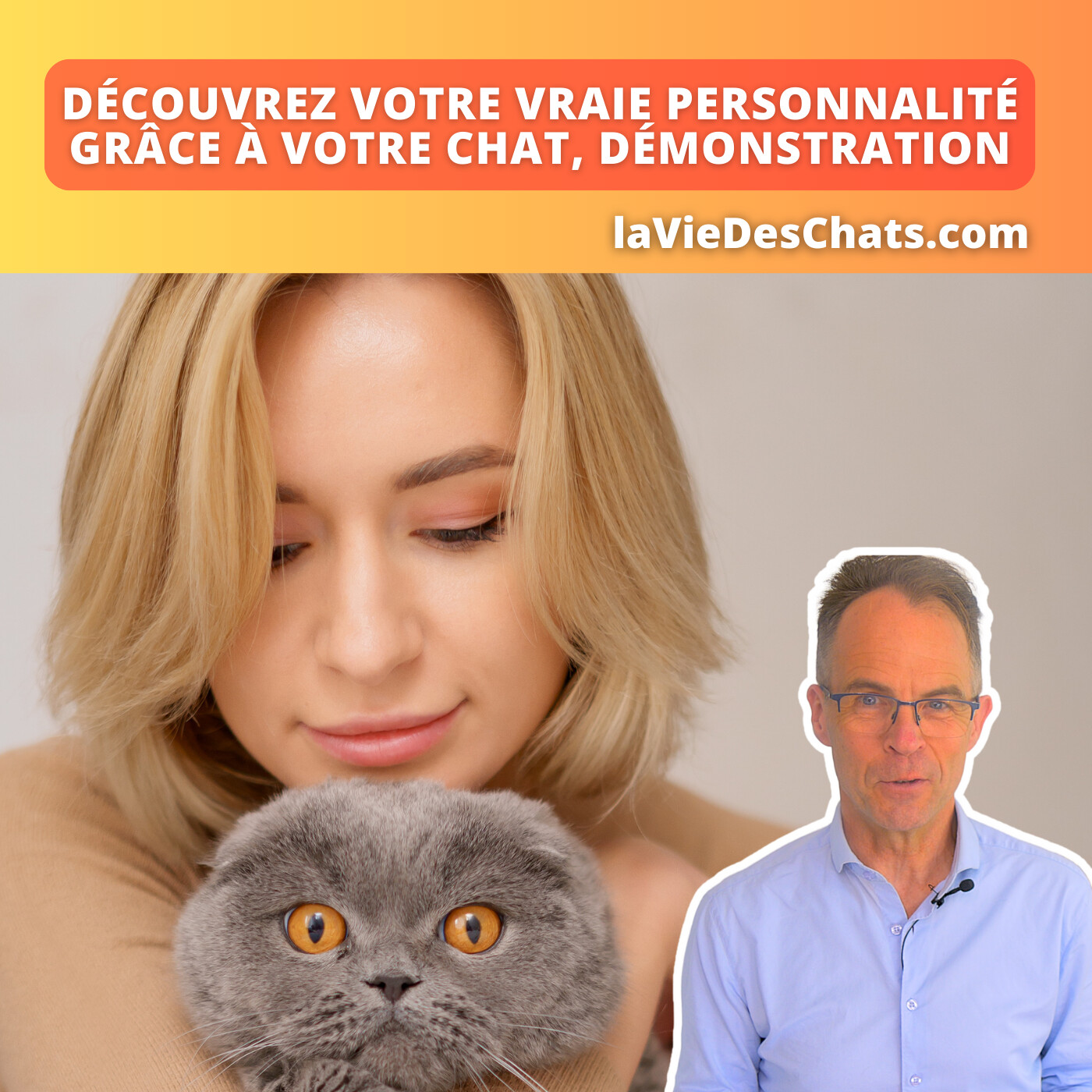 laVieDesChats