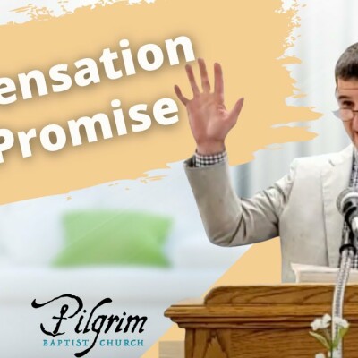 How to Rightly Divide the Word of Truth - Dispensation of Promise cover