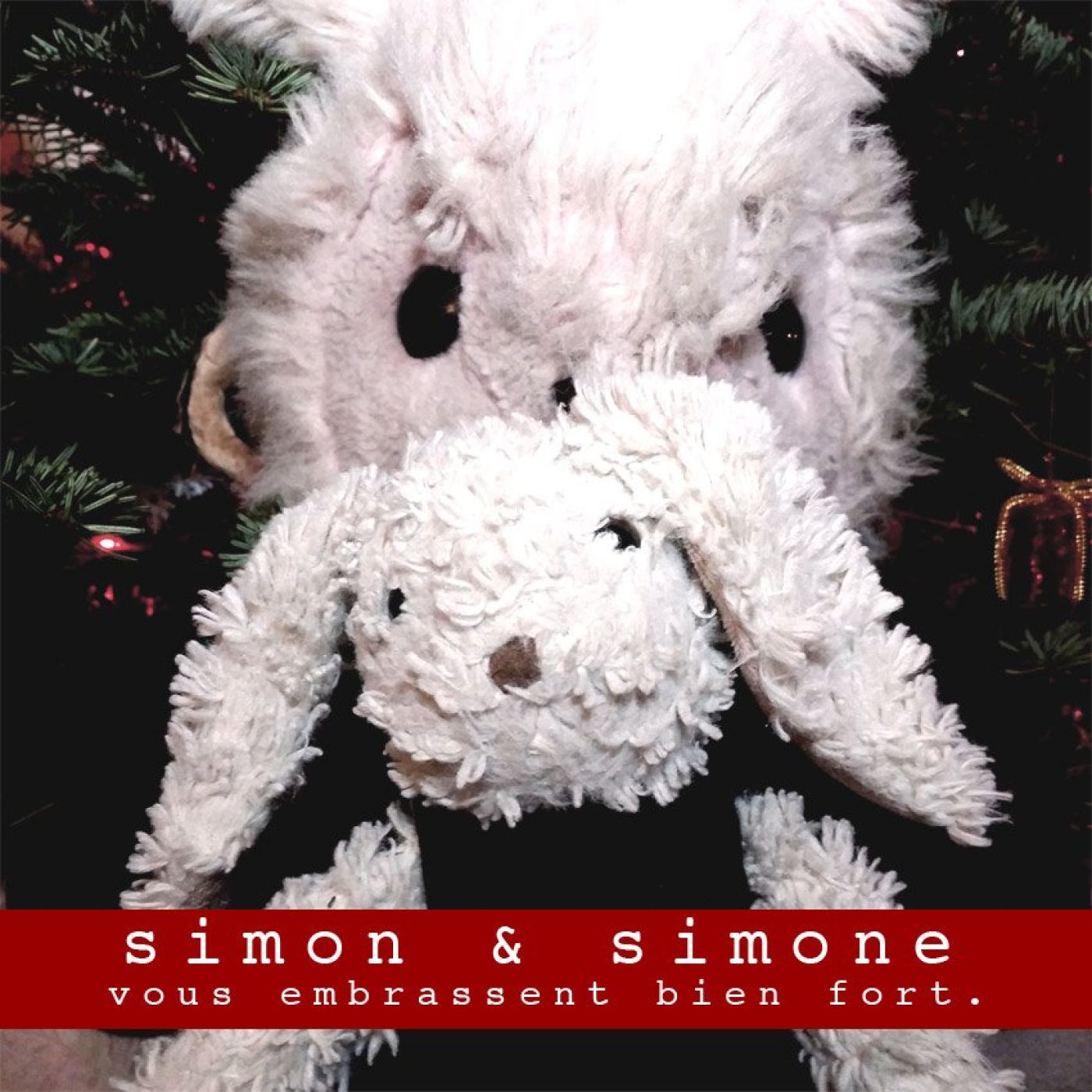 Simon et Simone Discorama