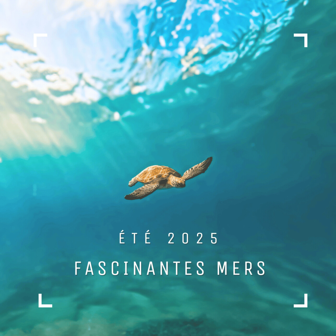Zélie - Le Podcast // Femmes inspirées