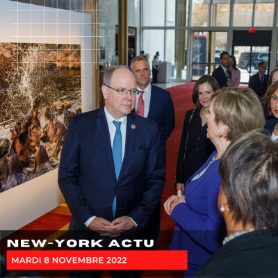 Mardi 8 novembre cover