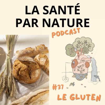 #37 - Le gluten : que disent les expert.e.s ? cover