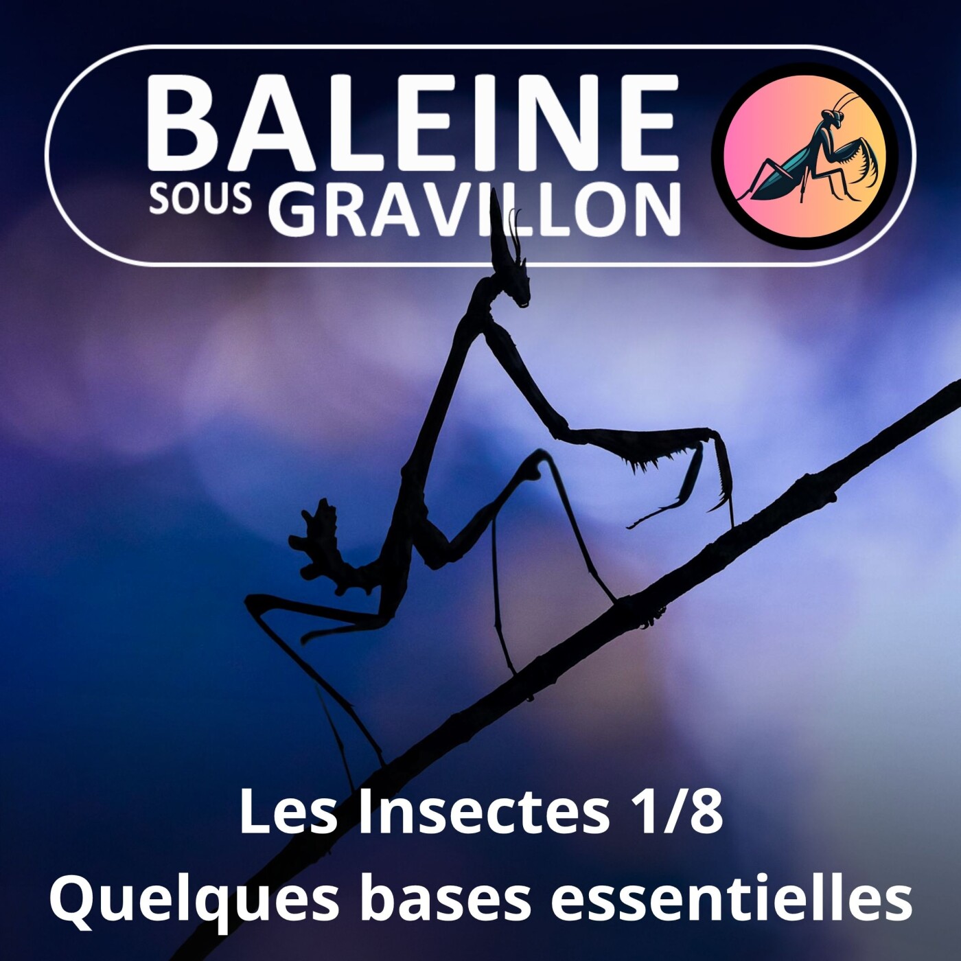 S02E86 Les Insectes 1/8 : Les Bases (Ennaloel Mateo-Espada) episode artwork