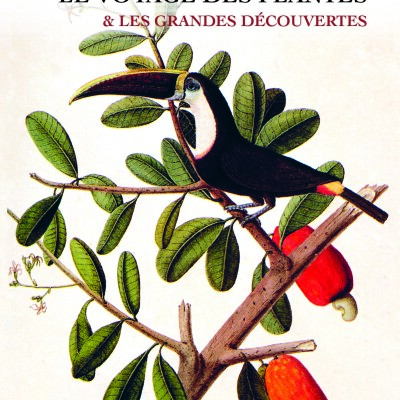 Comment les plantes ont changé nos vies ? cover