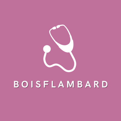 Boisflambard cover
