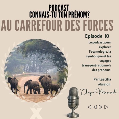 Podcast #10 - AU CARREFOUR DES FORCES cover
