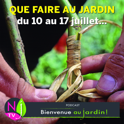 QUE FAIRE AU JARDIN DU 10 AU 17 JUILLET ? cover
