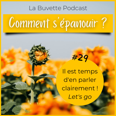 #29 Comment vous épanouir ? cover