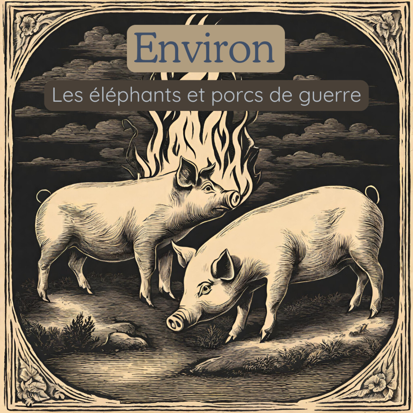 Environ