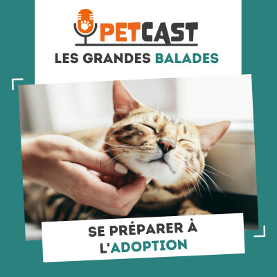 Se préparer à l'adoption cover