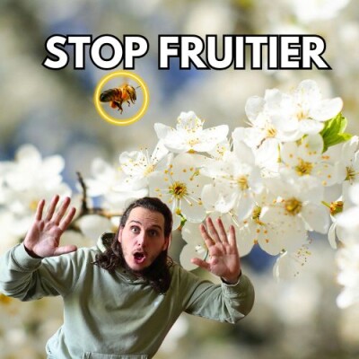 7 arbres mellifères indispensables pour nourrir les pollinisateurs cover