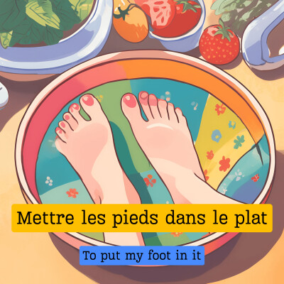 Mettre les pieds dans le plat cover