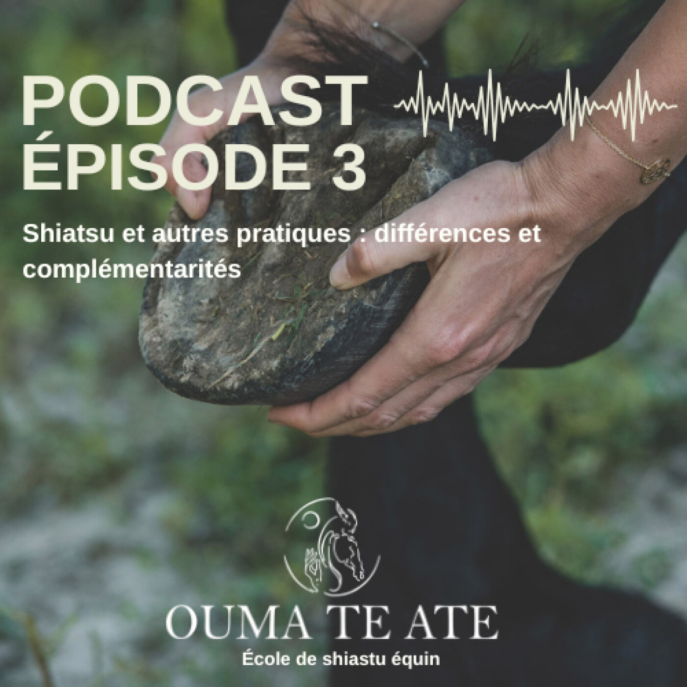Episode 3: Shiatsu et autres pratiques : différences et complémentarités episode artwork