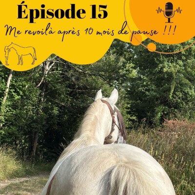 15 - Le retour du podcast ! cover