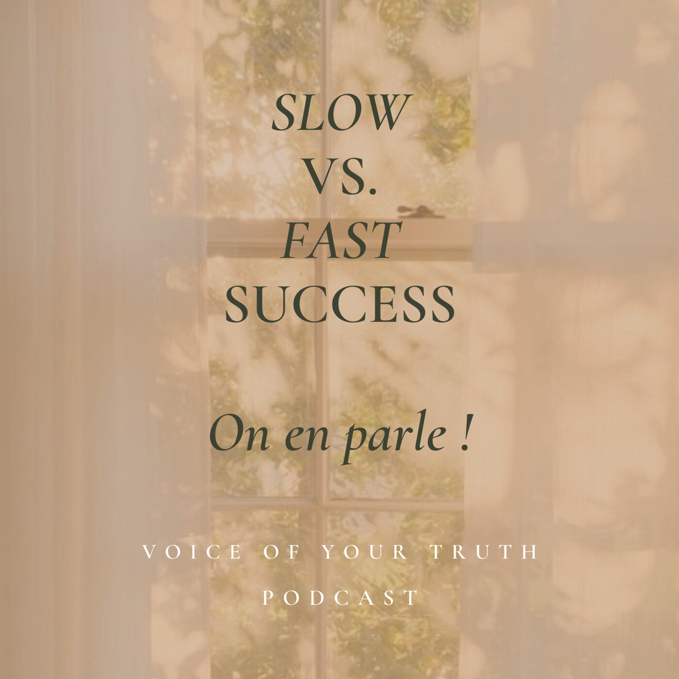 53 - Slow vs. fast success 53 - Slow vs. fast success