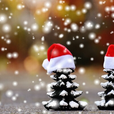 Le Père Noël est notre invité, sous la neige ! cover