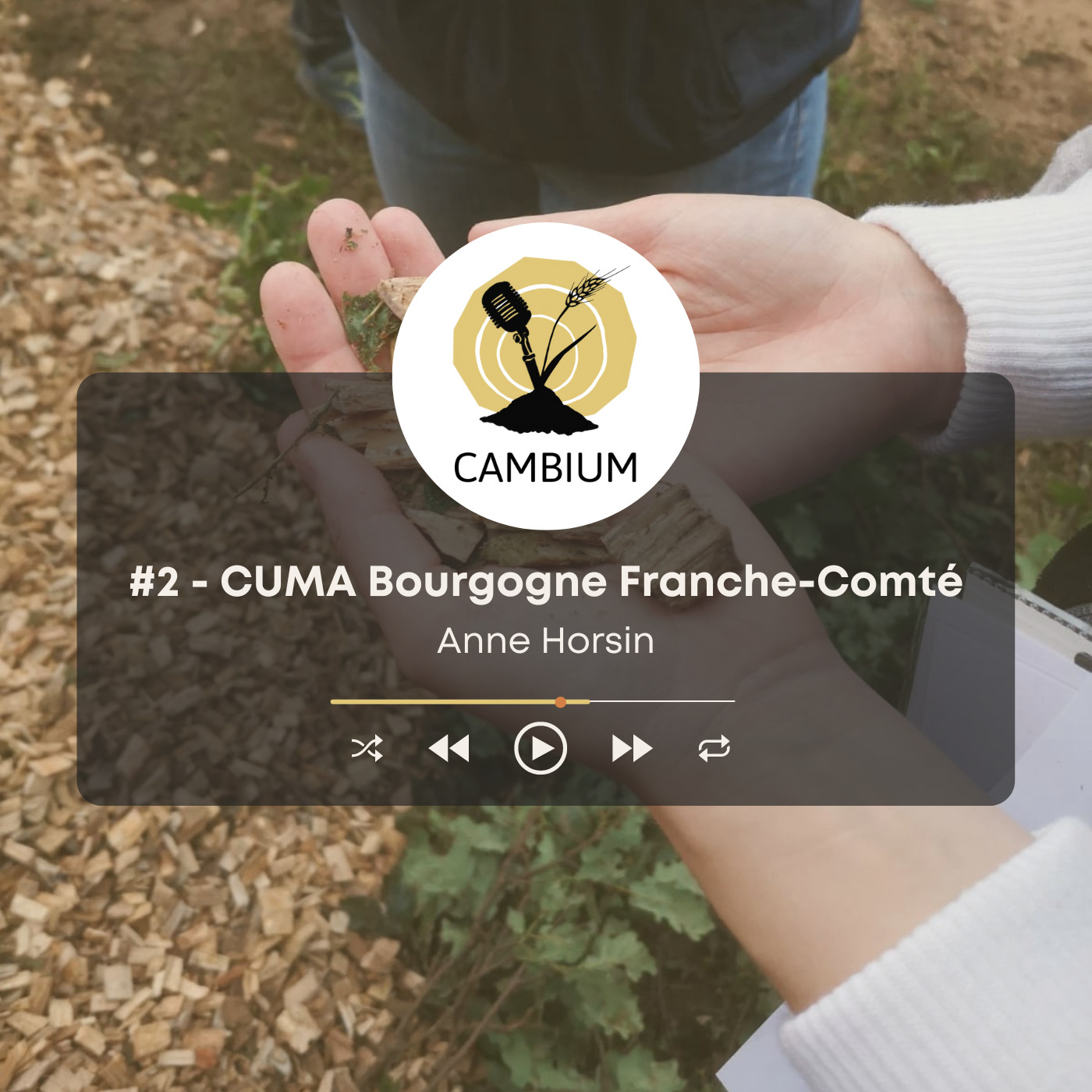 CAMBIUM, le podcast de l\'agroforesterie