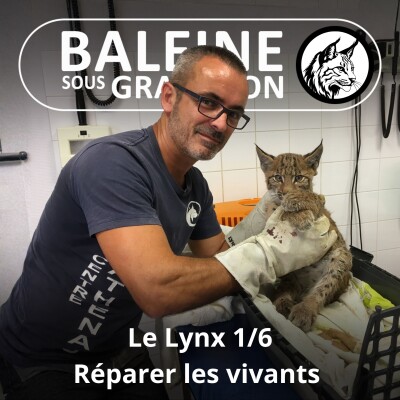 S03E20 Le Lynx 1/6 : Réparer les vivants (Gilles Moyne, Athénas) cover