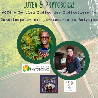 QAT Jour 4 de la Quinzaine de L' Agriculture Tinctoriale : Anne Sylvie Godeau de Lutéa et Henry Joseph de Guadeloupe cover