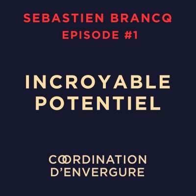 Sébastien BRANCQ, Entrepreneur, Président du Domaine le Mezo cover