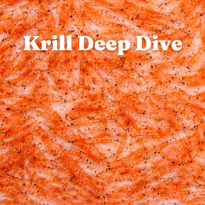 60-Second Ingredient Deep Dive with Dr. Amber, DVM: Krill cover