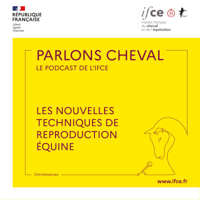 Ép. 32 | Les nouvelles techniques de reproduction équine - Maud Caillaud cover