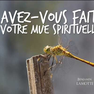 Avez-vous fait votre mue spirituelle 3 cover
