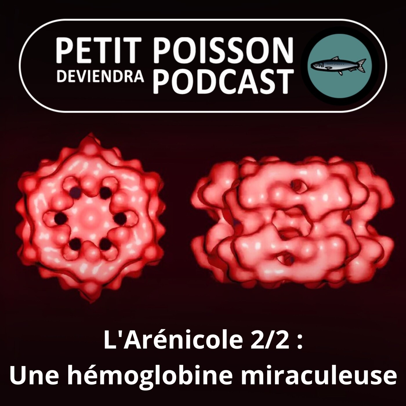 Petit Poisson deviendra Podcast
