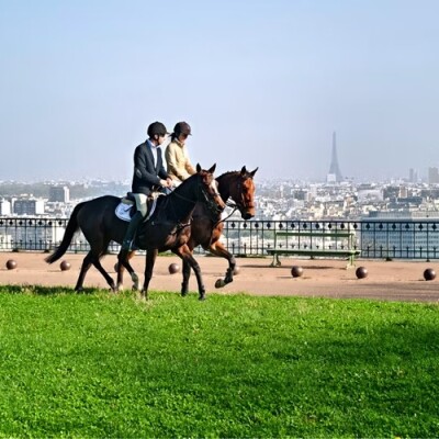 Horse in the City : Paris à cheval cover