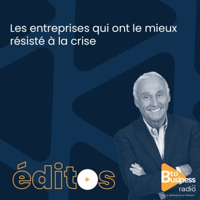 Les entreprises qui ont le mieux résisté à la crise | Jean-Marc Sylvestre, Journaliste, économiste, chroniqueur cover