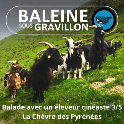 S07E07 Balade avec un éleveur-cinéaste 3/5 : Entre chien et loup (Rémi Dupouy) cover