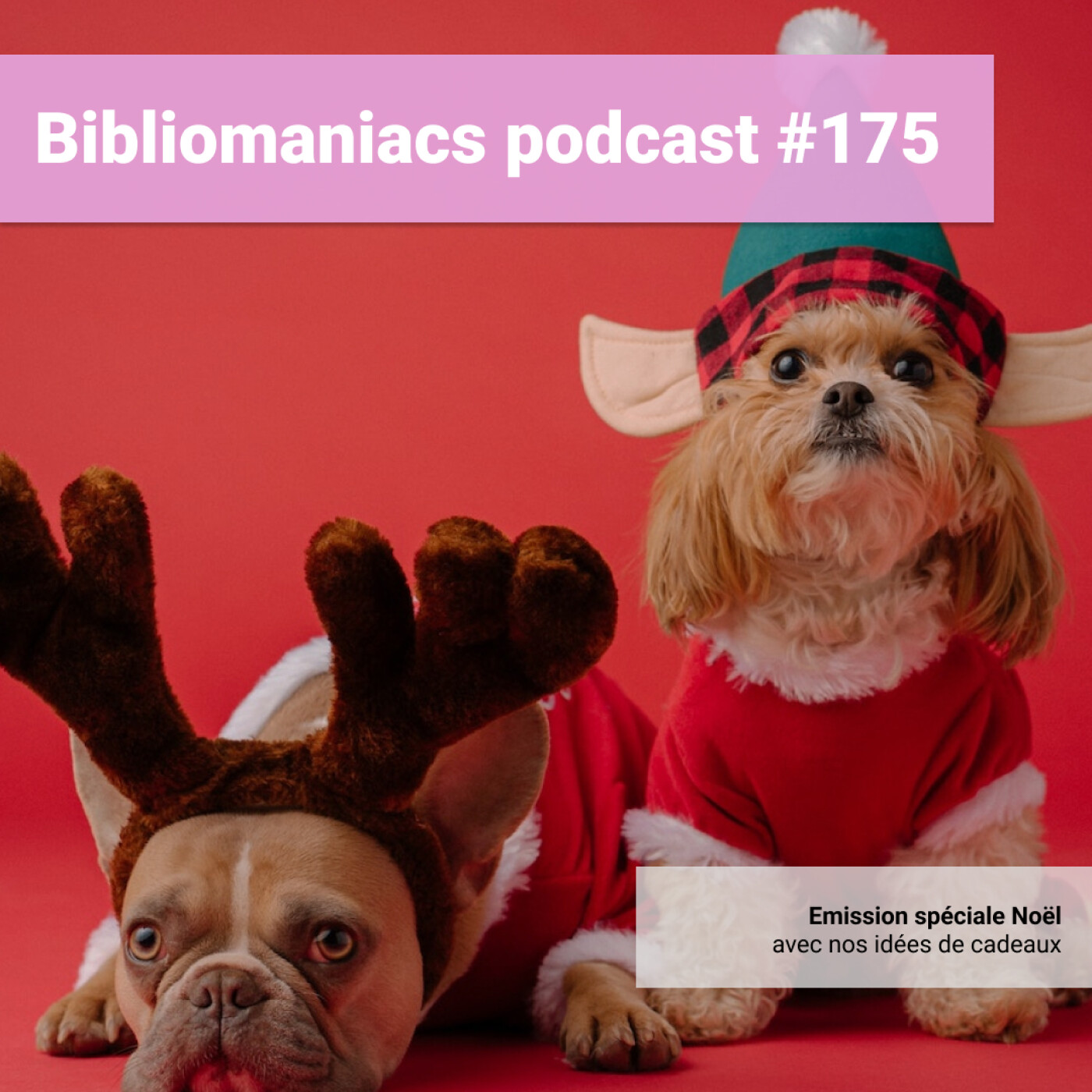 Bibliomaniacs épisode 175 Nos idées de livres à offrir pour Noël