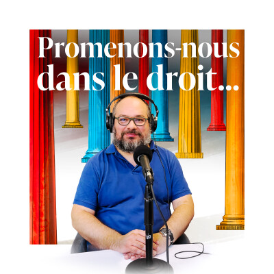 Episode 07 - Promenons-nous avec... Armand Terrien (L'arbitrage) cover
