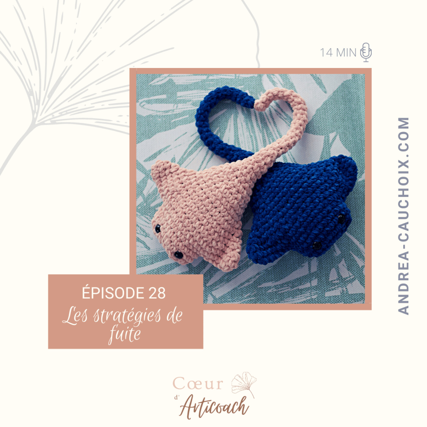 Cœur d\'articoach