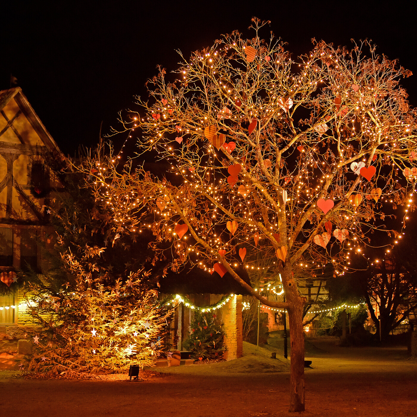 Ecomusée d'Alsace, à la découverte des traditions de Noël episode artwork