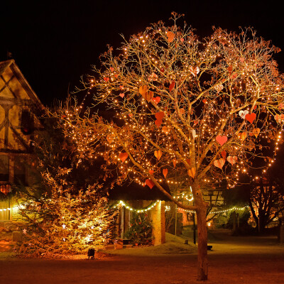 Ecomusée d'Alsace, à la découverte des traditions de Noël cover