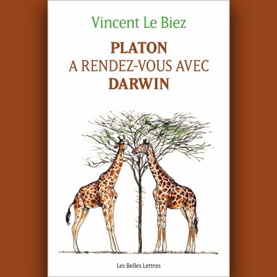 Vincent Le Biez - Platon a rendez-vous avec Darwin cover