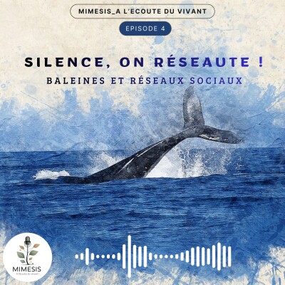Silence, on réseaute ! Baleines et réseaux sociaux - Ep.04 cover