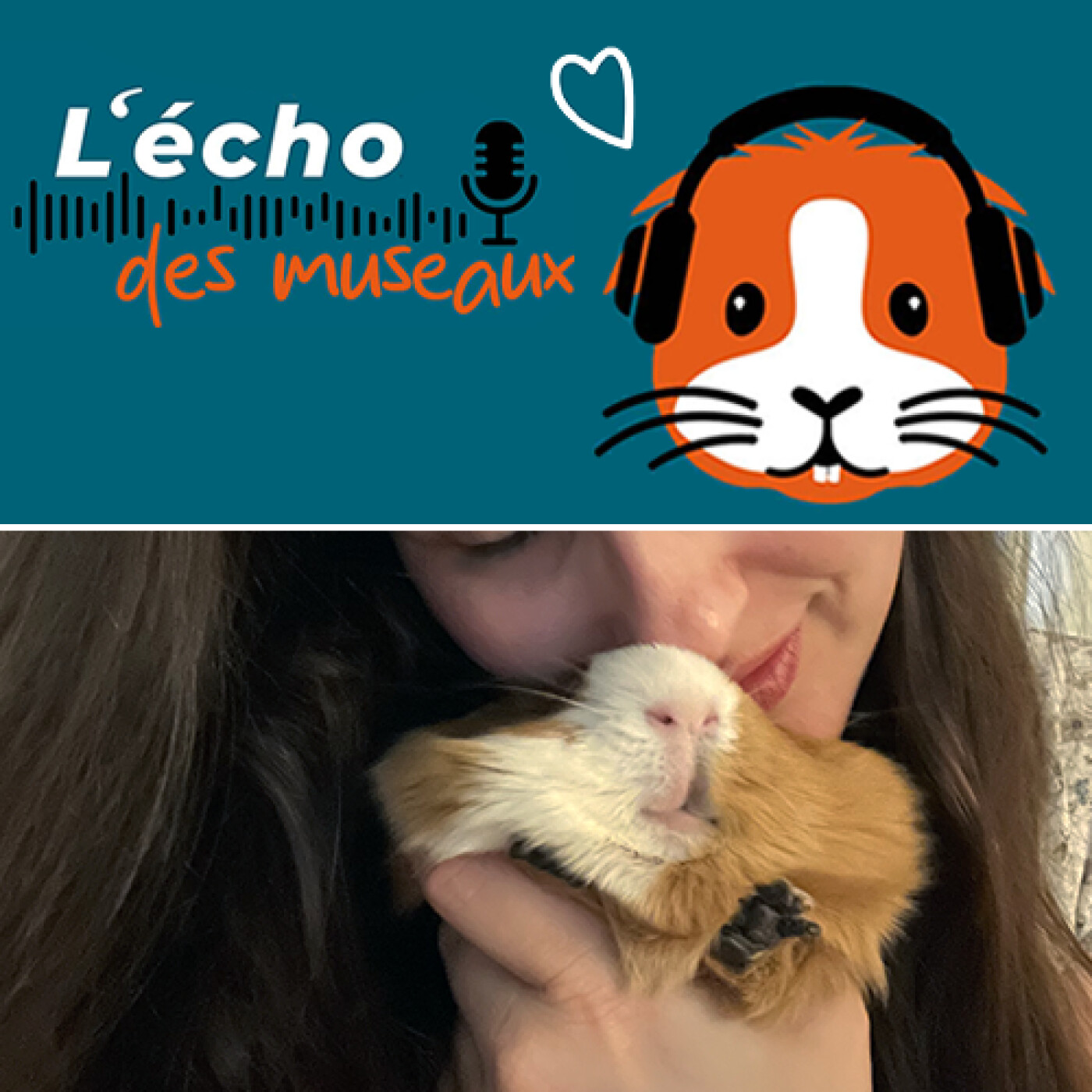 L\'écho des museaux