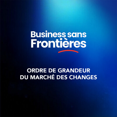 Comprendre le marché des changes et les enjeux pour les entreprises françaises à l'international ? #Leçon1 cover