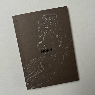 Moan pictures the female gaze cover