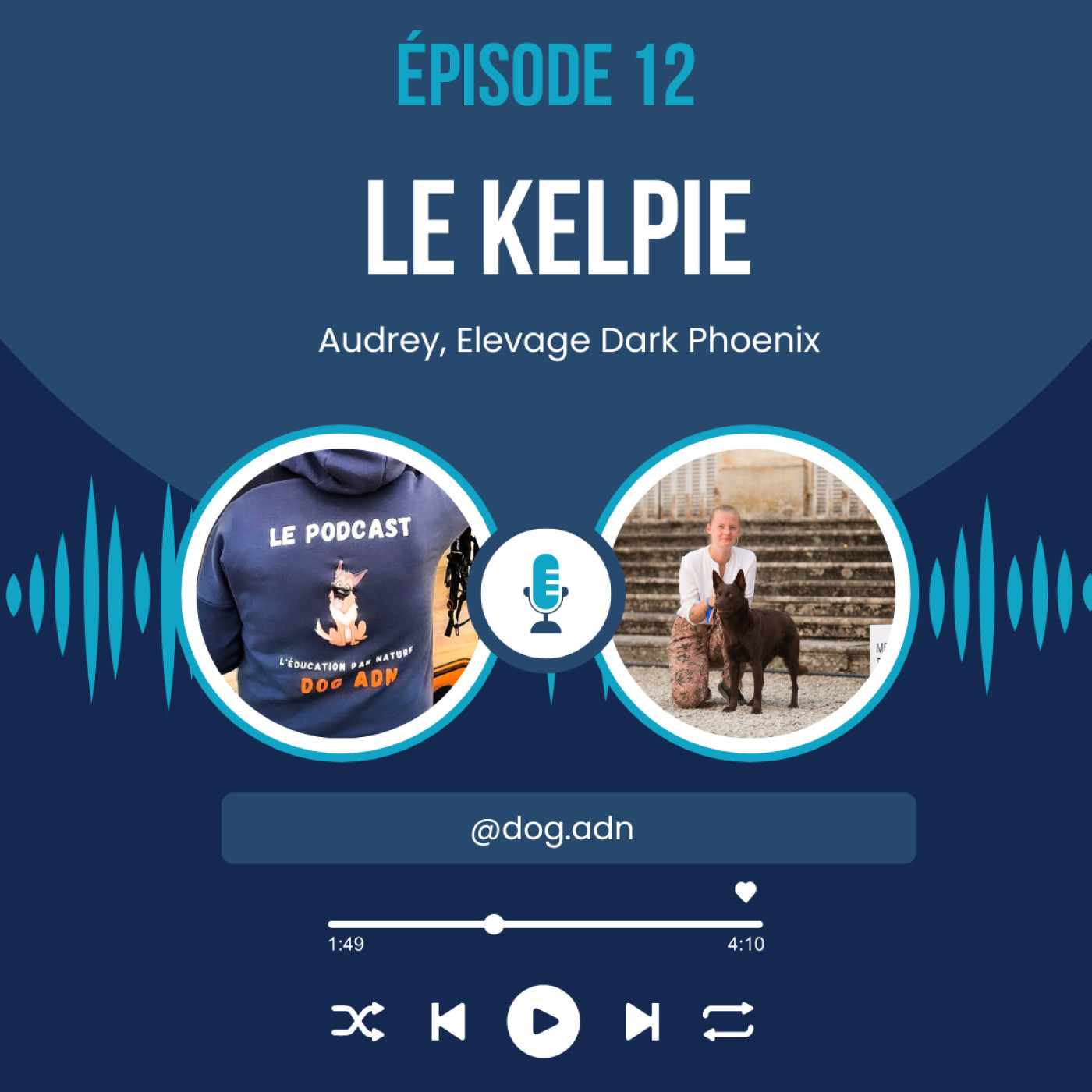 #12, Audrey et ses Australians Kelpies episode artwork