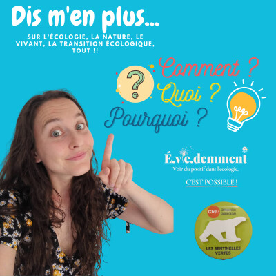 #38 - Qu'est ce que les sentinelles vertes ? cover