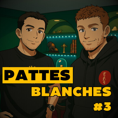 La fin de Pattes Blanches ? Ce que personne ne vous dit sur le passage à la ceinture bleue ! cover