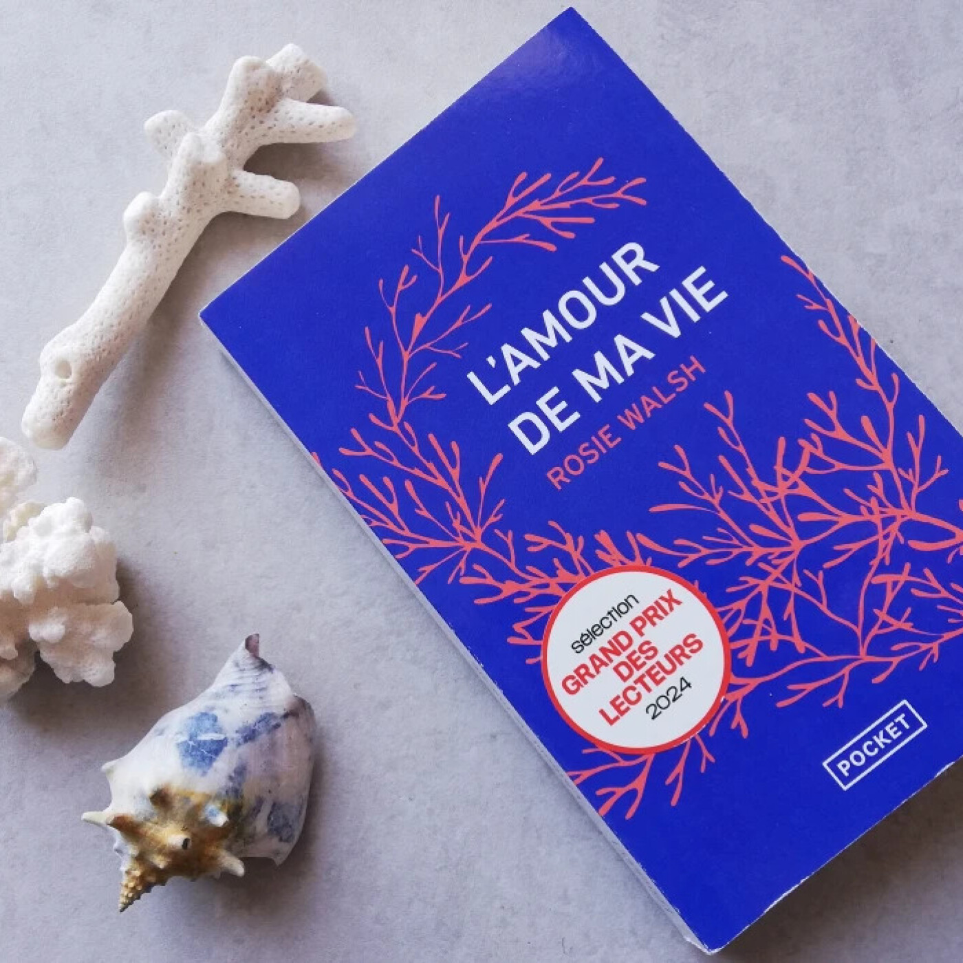 Une histoire d'amour subtile à découvrir !