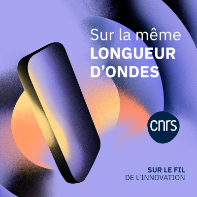 Sur la même longueur d'onde | Sur le fil de l'innovation cover