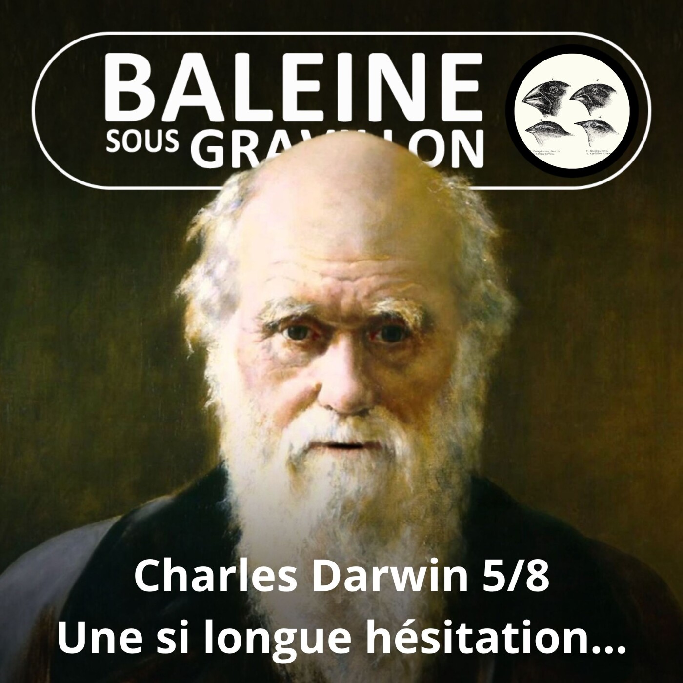 S03E92 Charles Darwin 5/8 : 23 ans de recherches... et d'hésitations episode artwork