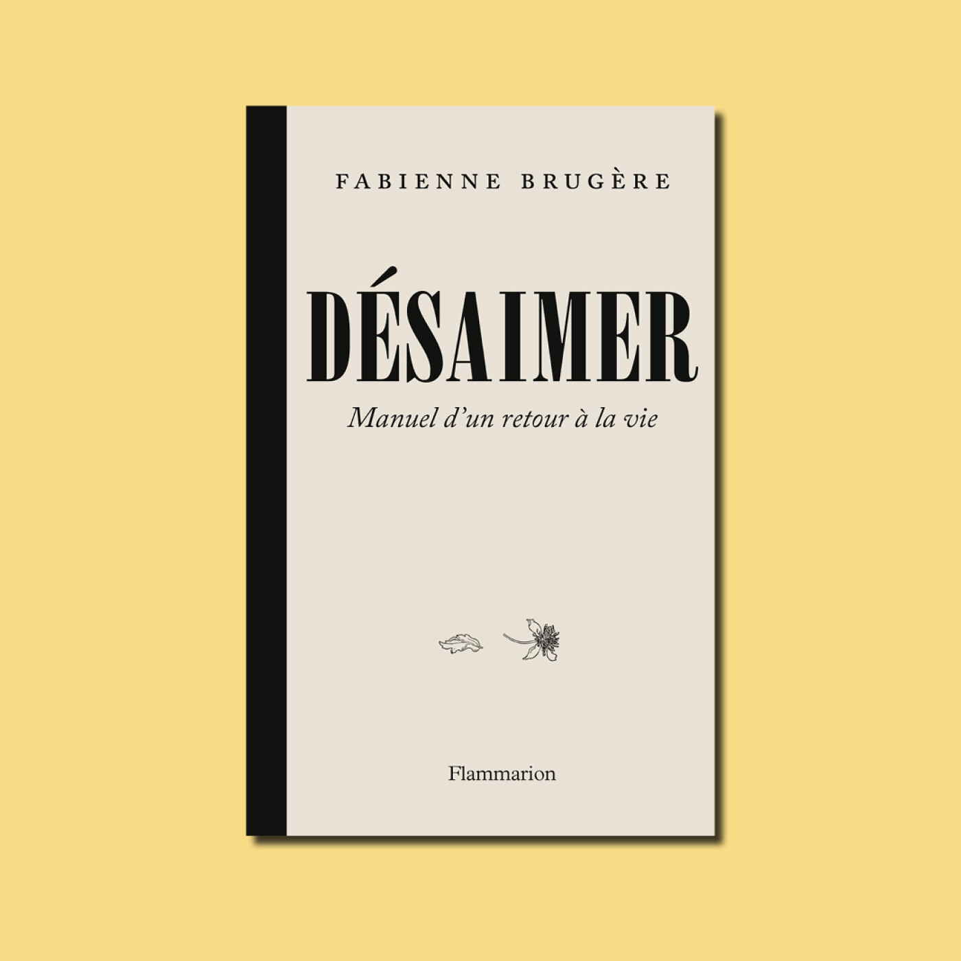 Désaimer. Entretien avec Fabienne Brugère episode artwork